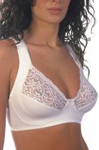 REGGISENO ART. 16172
